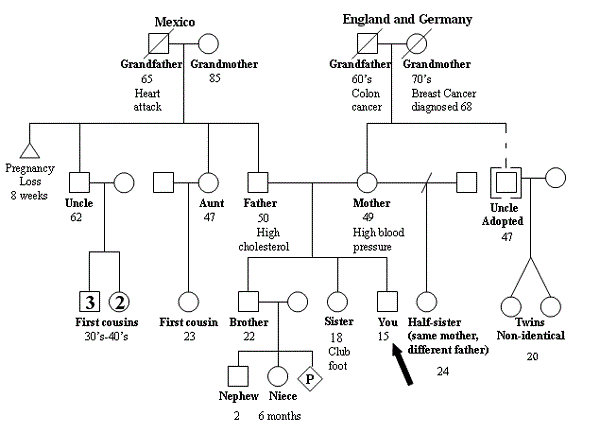 family tree.gif