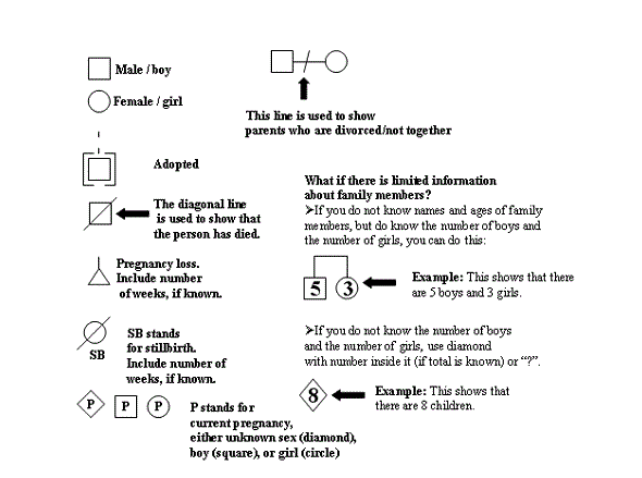 family tree legend.gif